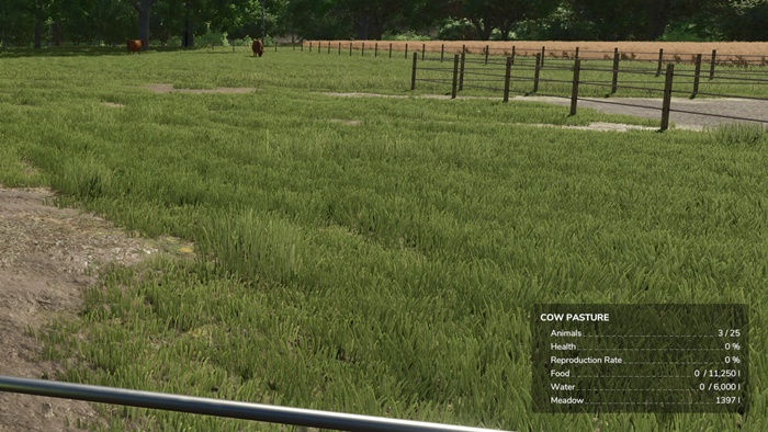 FS25 - Info Display Extension V1.1
