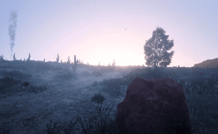 RDR2 - Pioneer Reshade