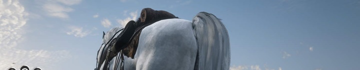 Red Dead Redemption 2 - Slow-Mo