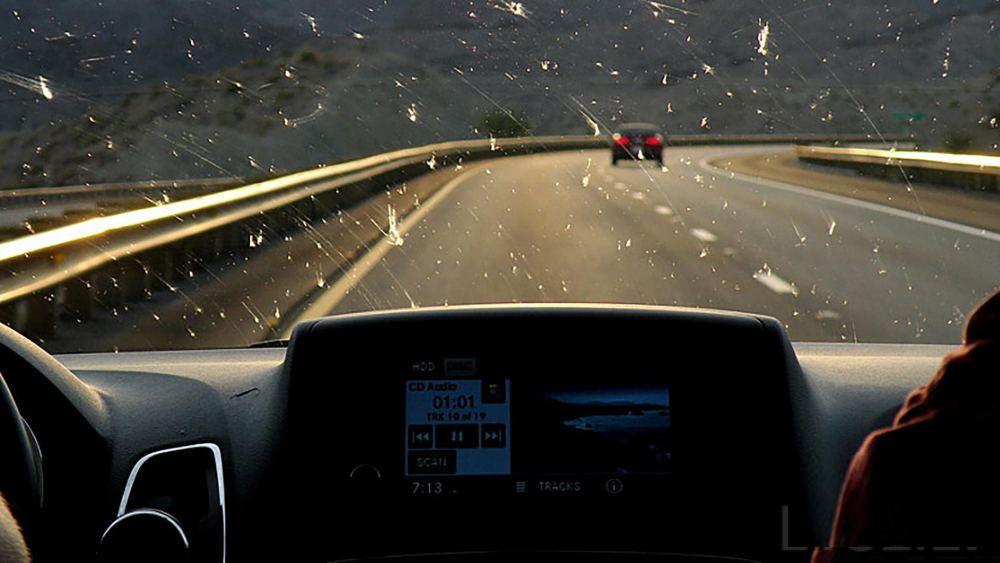 ETS2 - Insects on Windshield V1.2 (1.36.x)