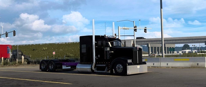 ATS - Kenworth W900 Pinga