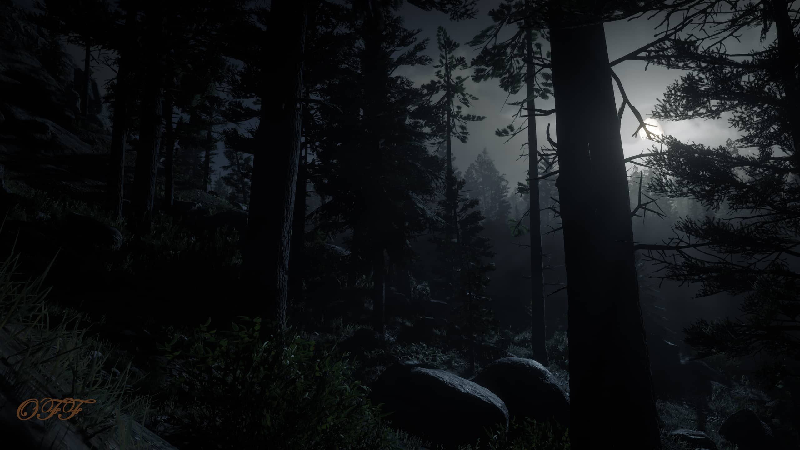 RDR2 My Vision Red Dead Redemption 2