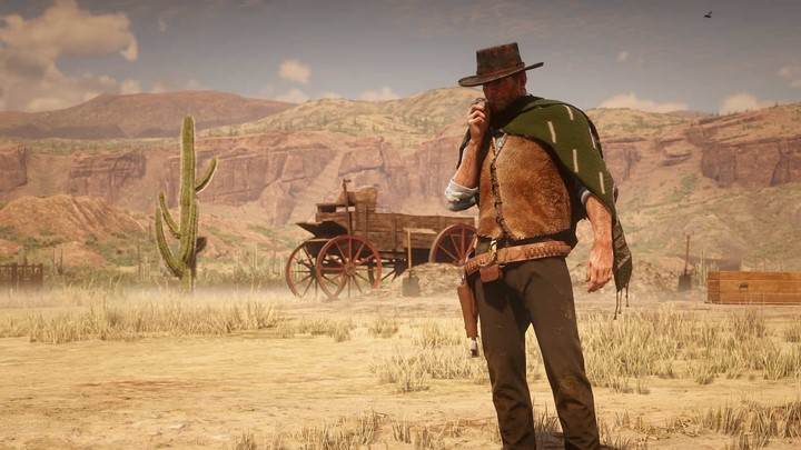 RDR2 Green Texture for Man with No Name Poncho Red