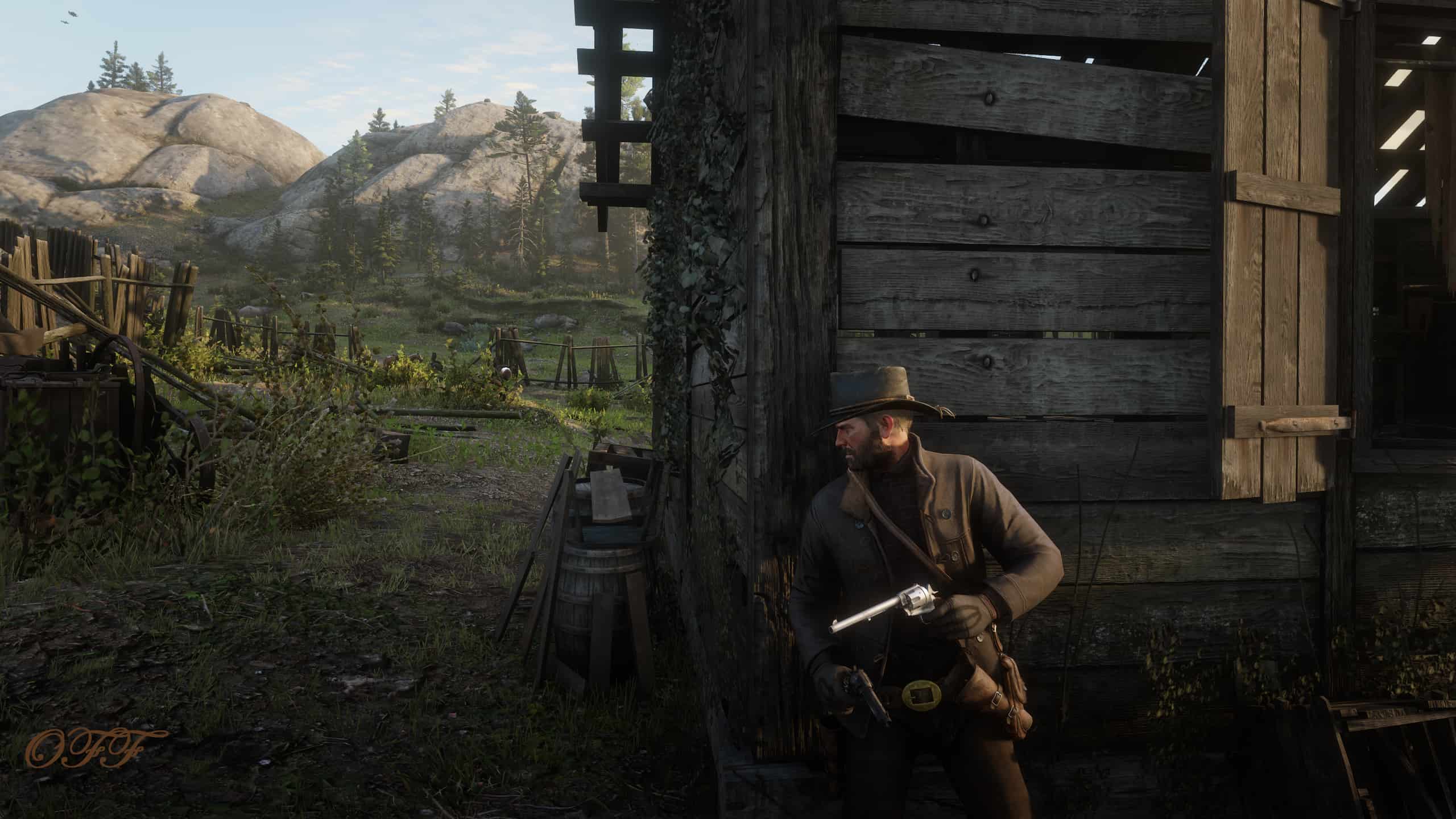 RDR2 My Vision Red Dead Redemption 2