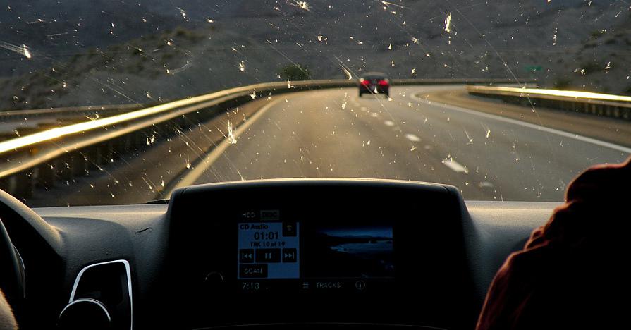 ETS2 - Insects on Windshield for All Trucks v1.0 (1.35.x)