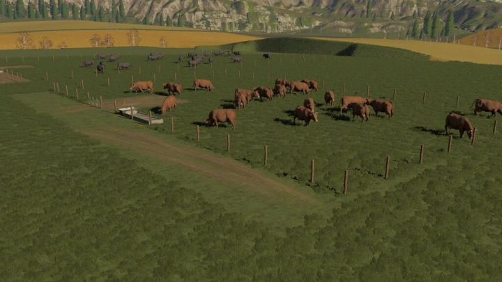 FS19 - Pastures V1.0