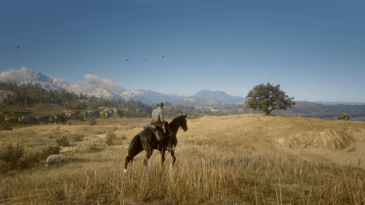 RDR2 - Hailfurys ReShade