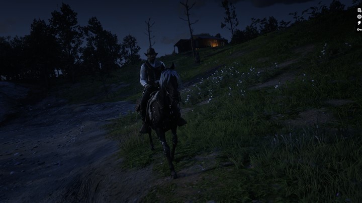 RDR2 - Online Horse Manes and Tails V1.0