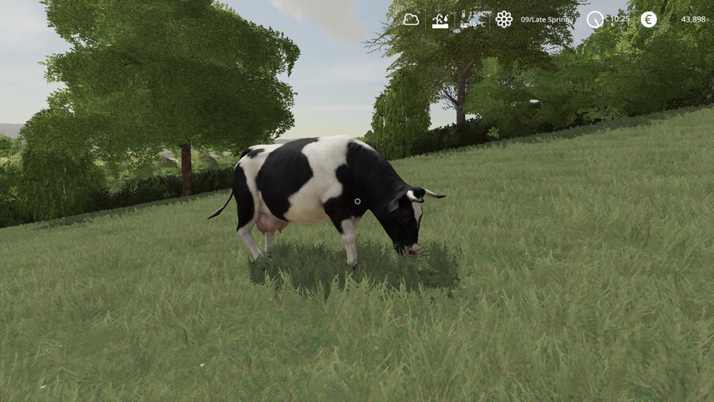 FS19 - Seasons Geo: Upper Austria V1.0