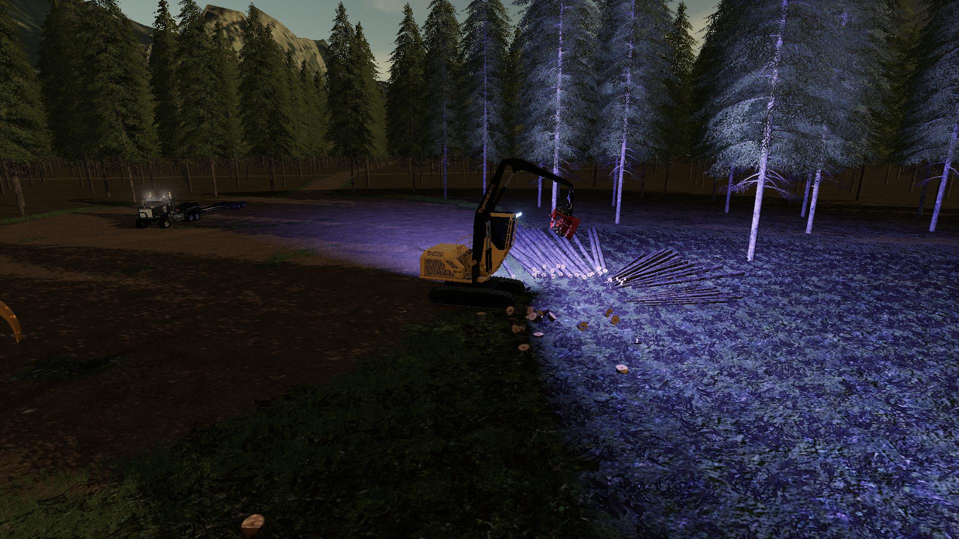 FS19 - Tigercat 875 Processer Setyourbindings V1.0