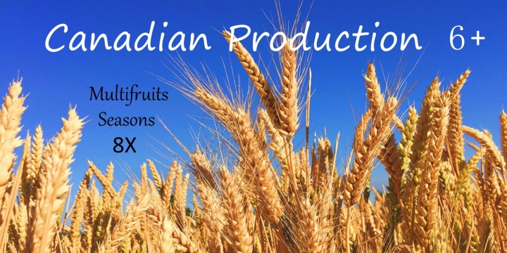 FS19 - Canadian Production Map 6+