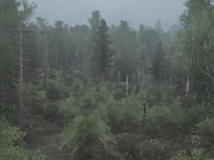 Spintires:Mudrunner - Siberian Forest 2 Map V27.09.20