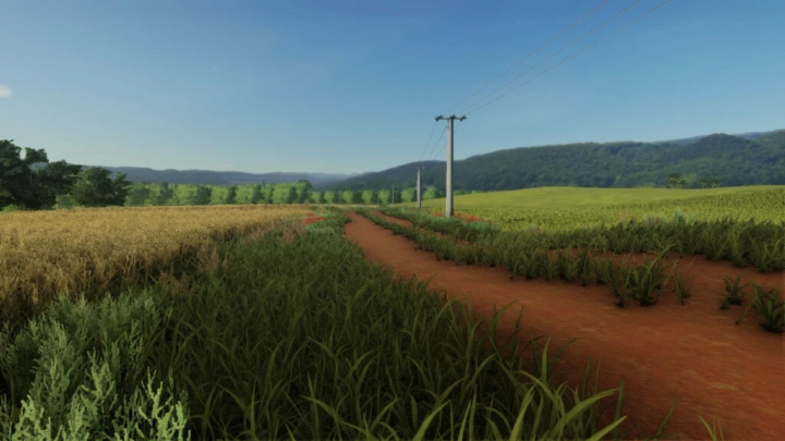 FS19 - Ibis Farm Map V1.0