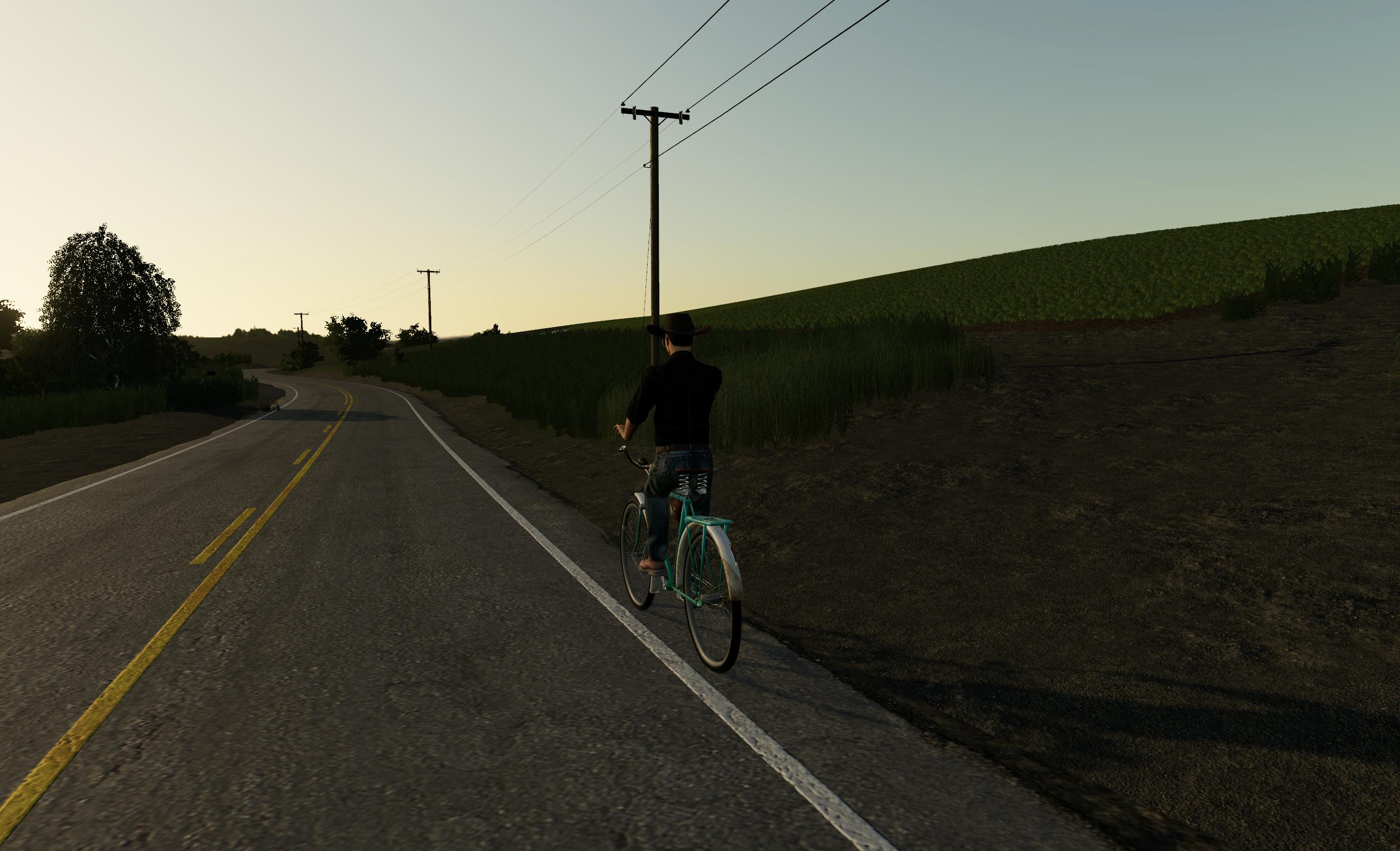 FS19 - Daru (Bicycle) Fix V1.0