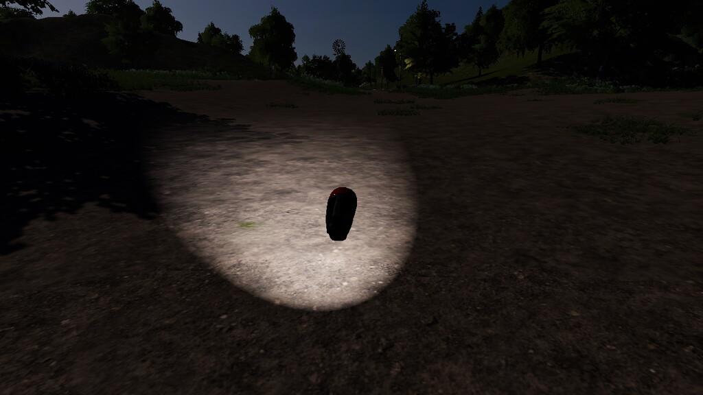 FS19 - Flash Light V1.1