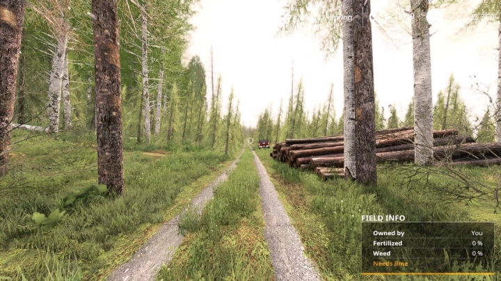 Fs19 Best Forestry Map Fs19 - Forest Machine Map V1.0 | Farming Simulator 19 | Mods.club