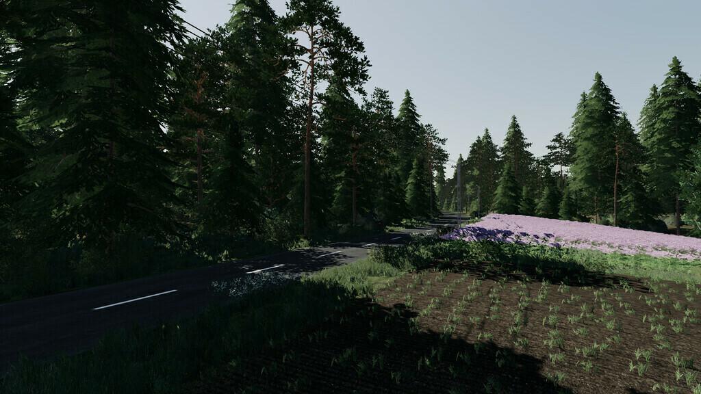 FS19 - Starowies Map V2.0