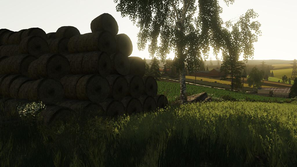 FS19 - Polesie Map V1.0