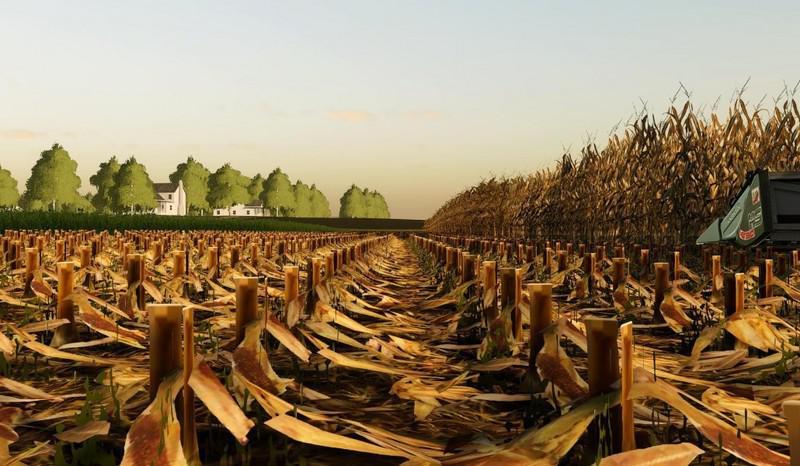 FS19 - Corn And Soybean Textures Mod V3.0