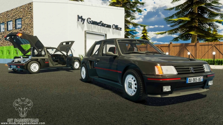 FS19 - Peugeot 205 Turbo 1984 V1.0