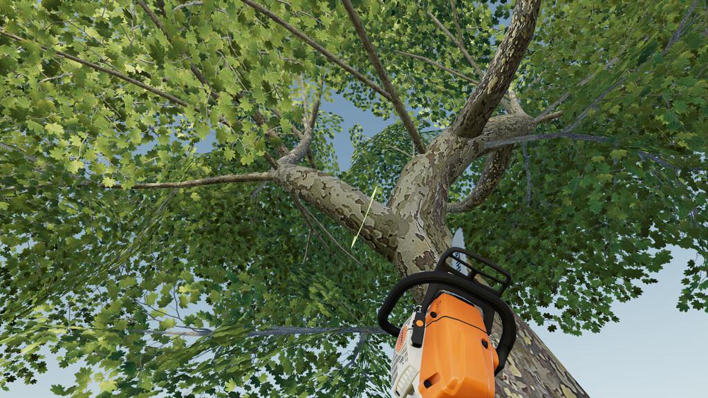 FS19 - LumberJack V1