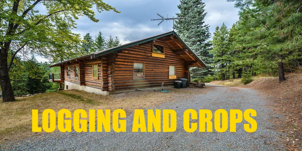 FS19 - Logging and Crops V1.0