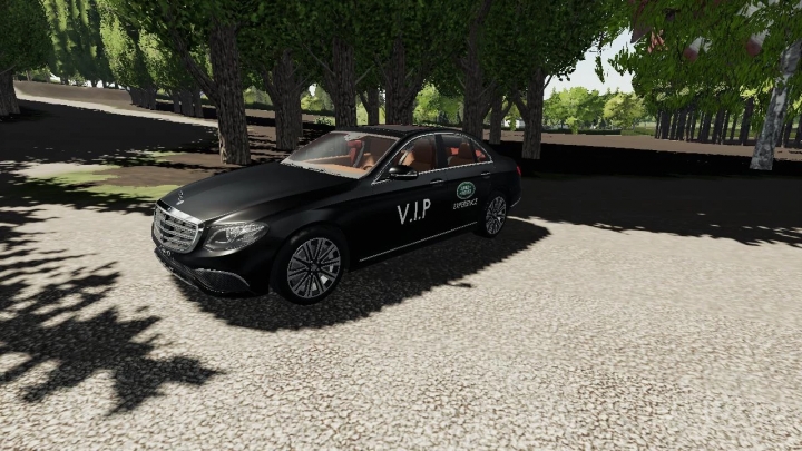 FS19 - Mercedes-Benz E-Class V1.0