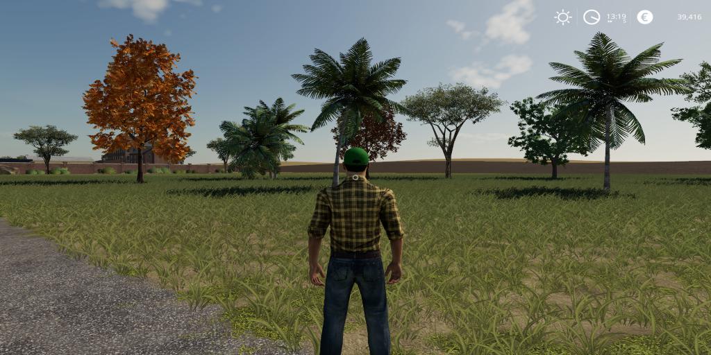 FS19 - Placeable 31 Trees Pack V1.1