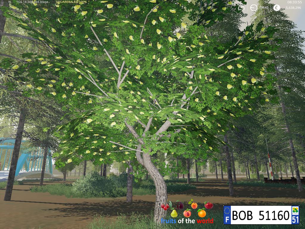 Fs19 Fruits Trees V10 Farming Simulator 19 Modsclub 1290