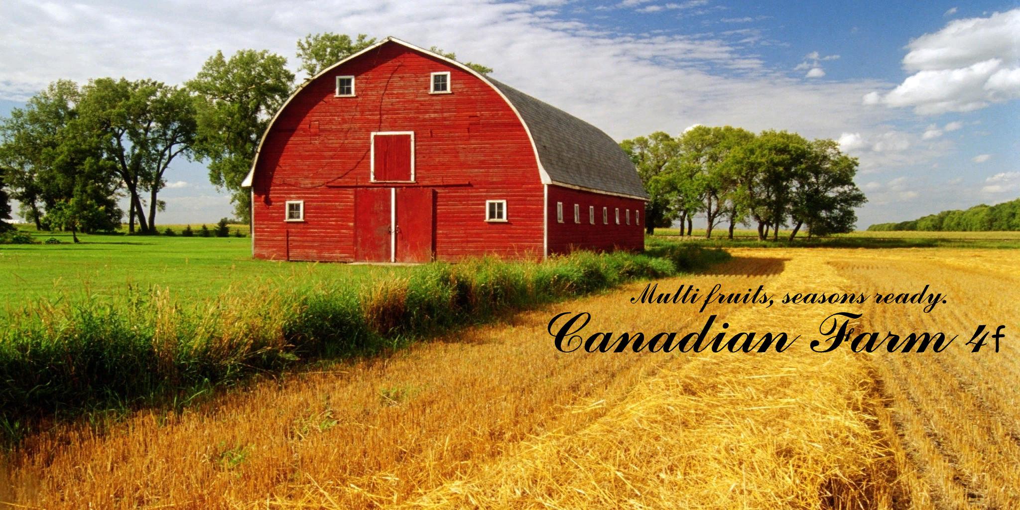 FS19 - Canadian Farm Map V4.0 Final