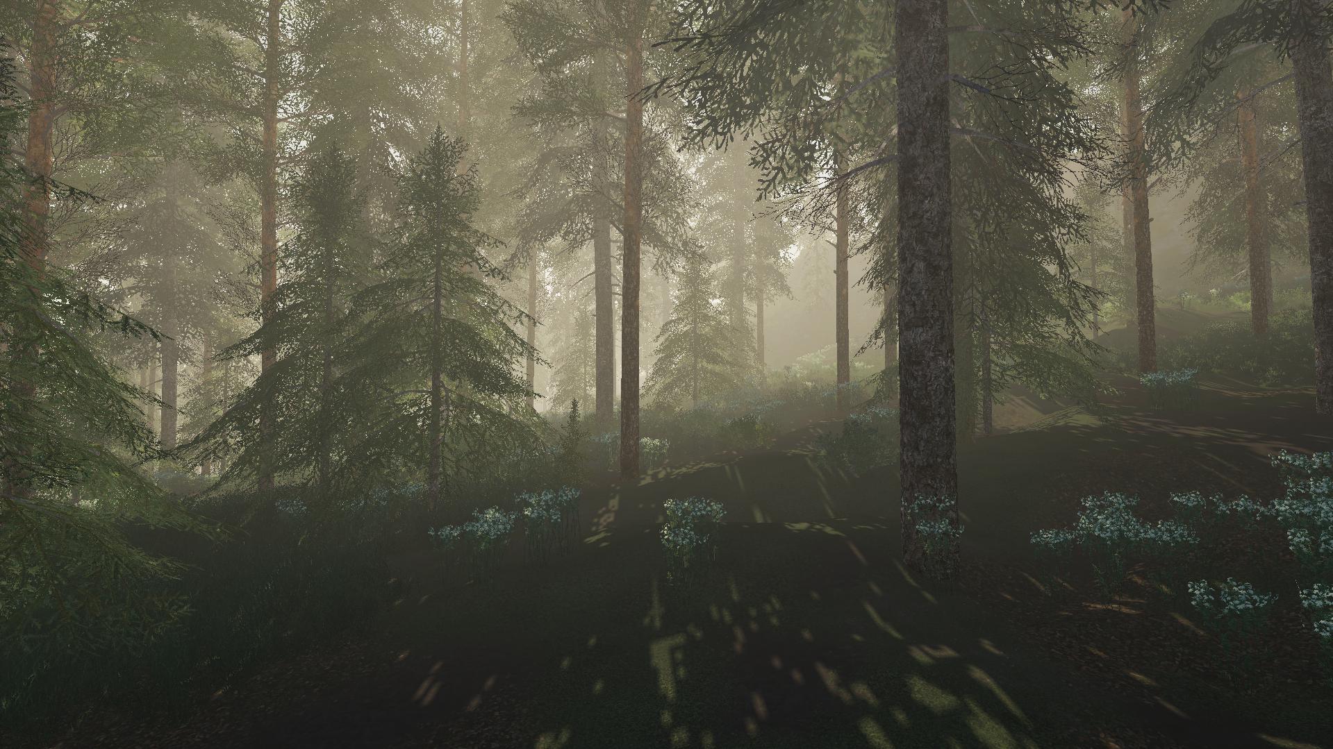 FS19 - Ramna Map V2.0