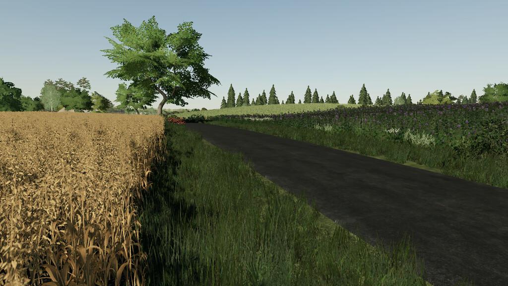 FS19 - Cybuchowo Map V1