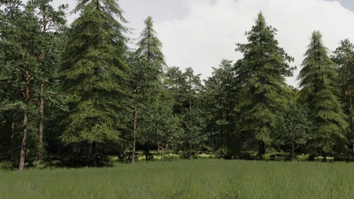 FS19 - Stara Wies Map V1.0