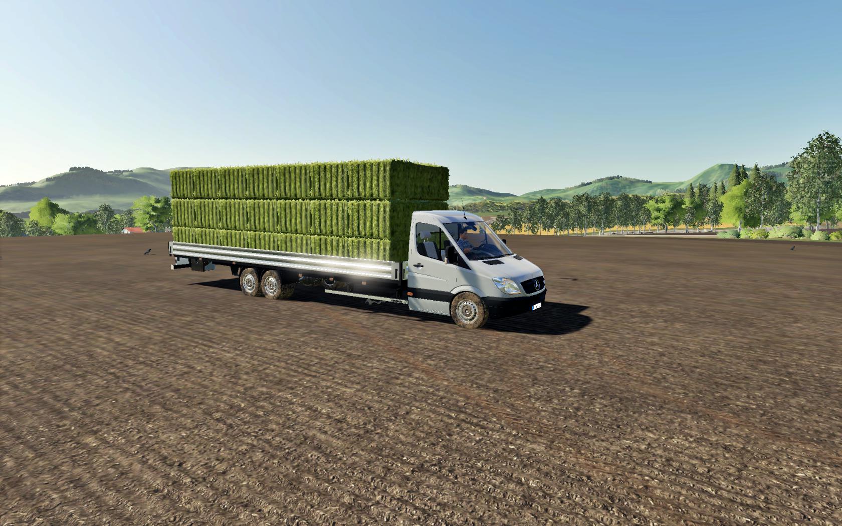 FS19 - Mercedes Sprinter PickupLong V1.2