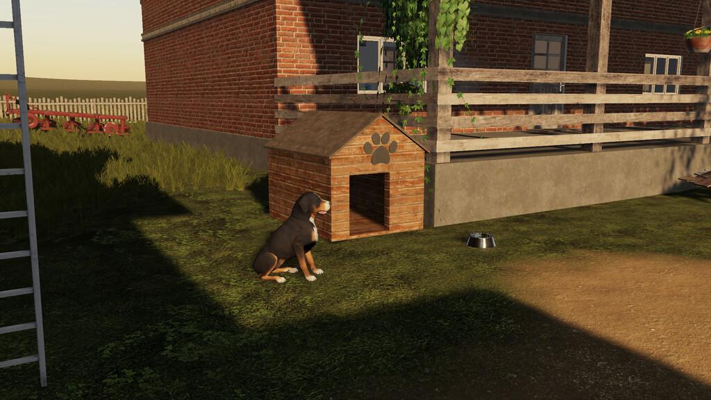 FS19 - Polish Dog House V1