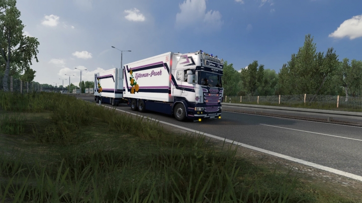 ETS2 - Tijsterman Rjl/Ekeri Combo Skin (1.40.x)