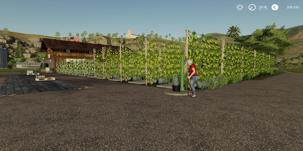 FS19 - Grape Production Final Extended | Farming Simulator 19 | Mods.club