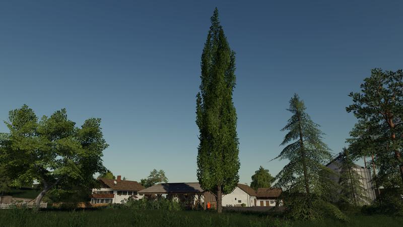 FS19 - Placeable Poplar V1