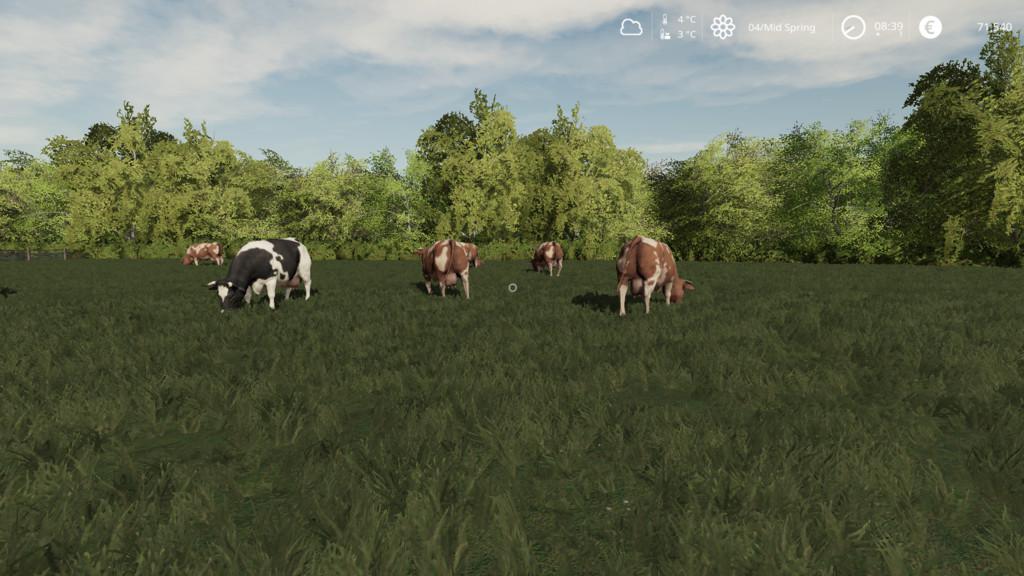 FS19 - Seasons Geo: Bavaria V1.1