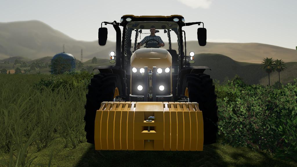 FS19 - Adjustable Weight V1.1
