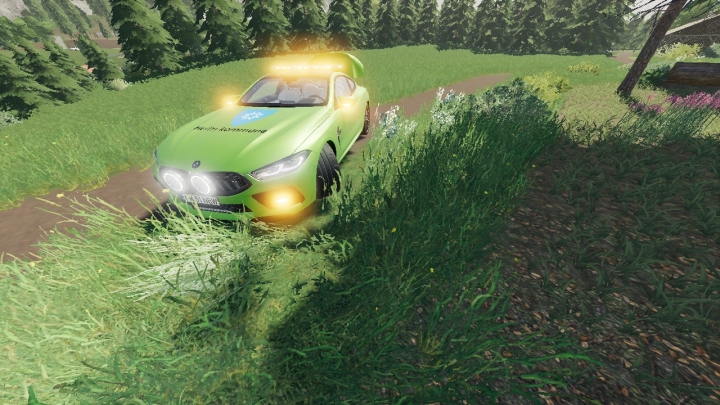 FS19 - BMW Work Car V1.0