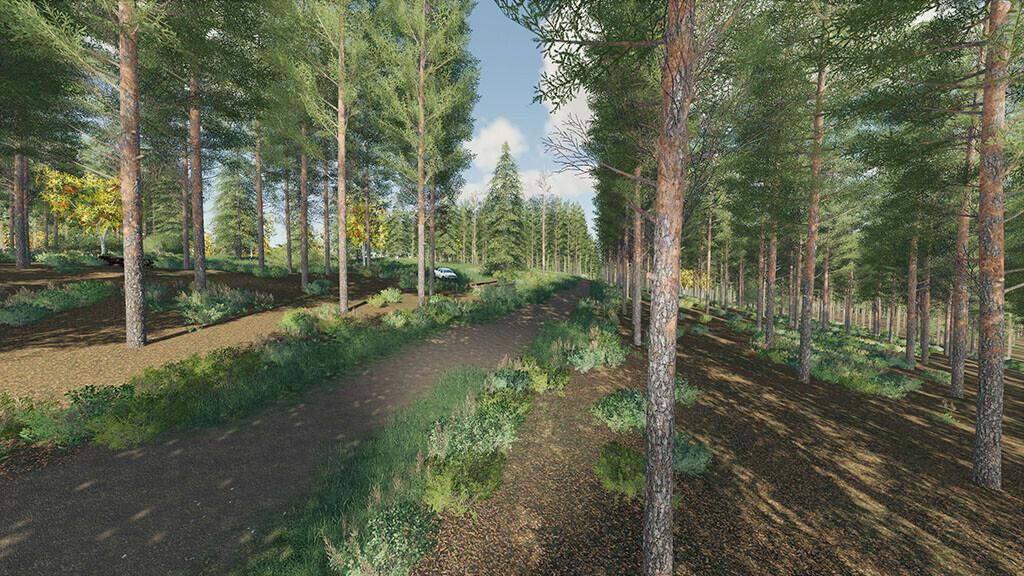 FS19 - Kleinhau Map V1.1
