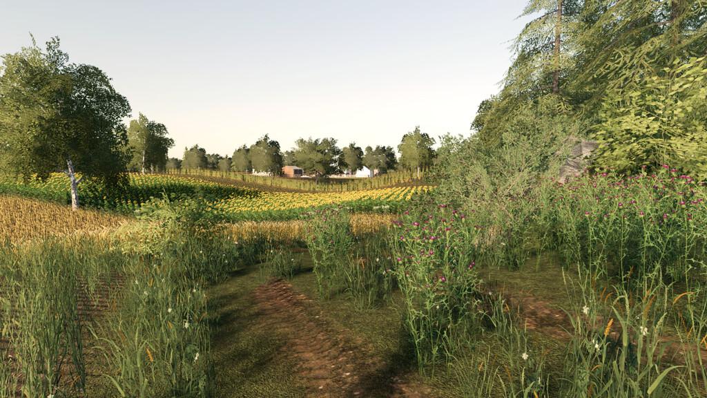 FS19 - Kaminki Map V1.0.0.2