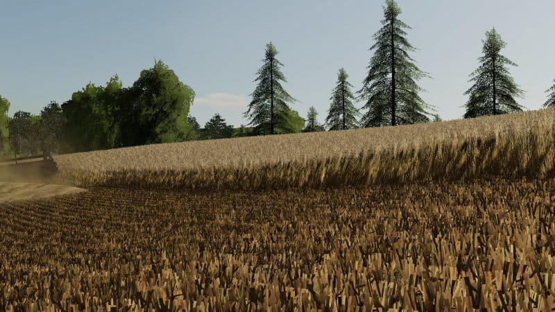 FS19 - Barley / Wheat Texture V1.0