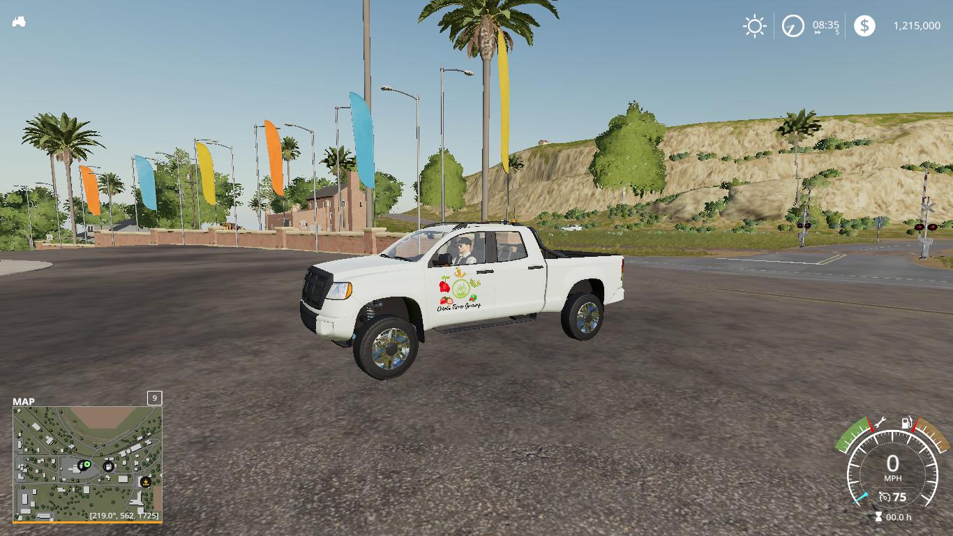 FS19 - Pickup 2014 V1.0