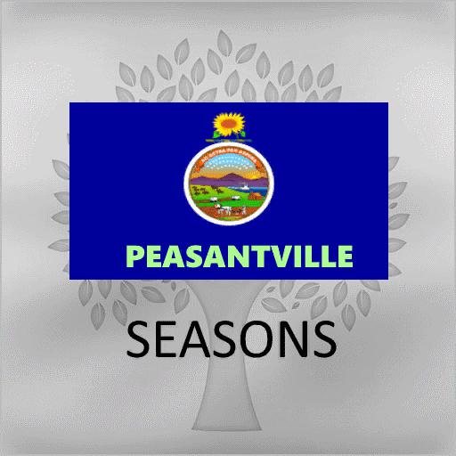 FS19 - GEO Peasantville V1.1