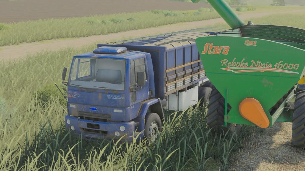 FS19 - Lizard Cargo Series Brazil Truck V1.0