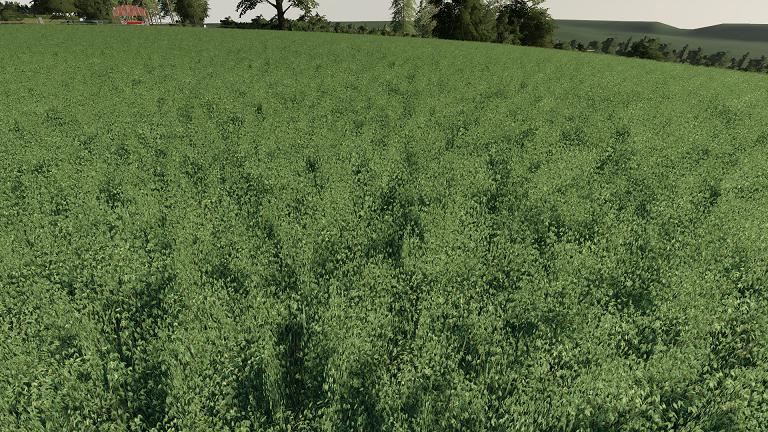 Fs19 Realistic Cereal And Canola Crop Densities V10 Farming Simulator 19 Modsclub 8598