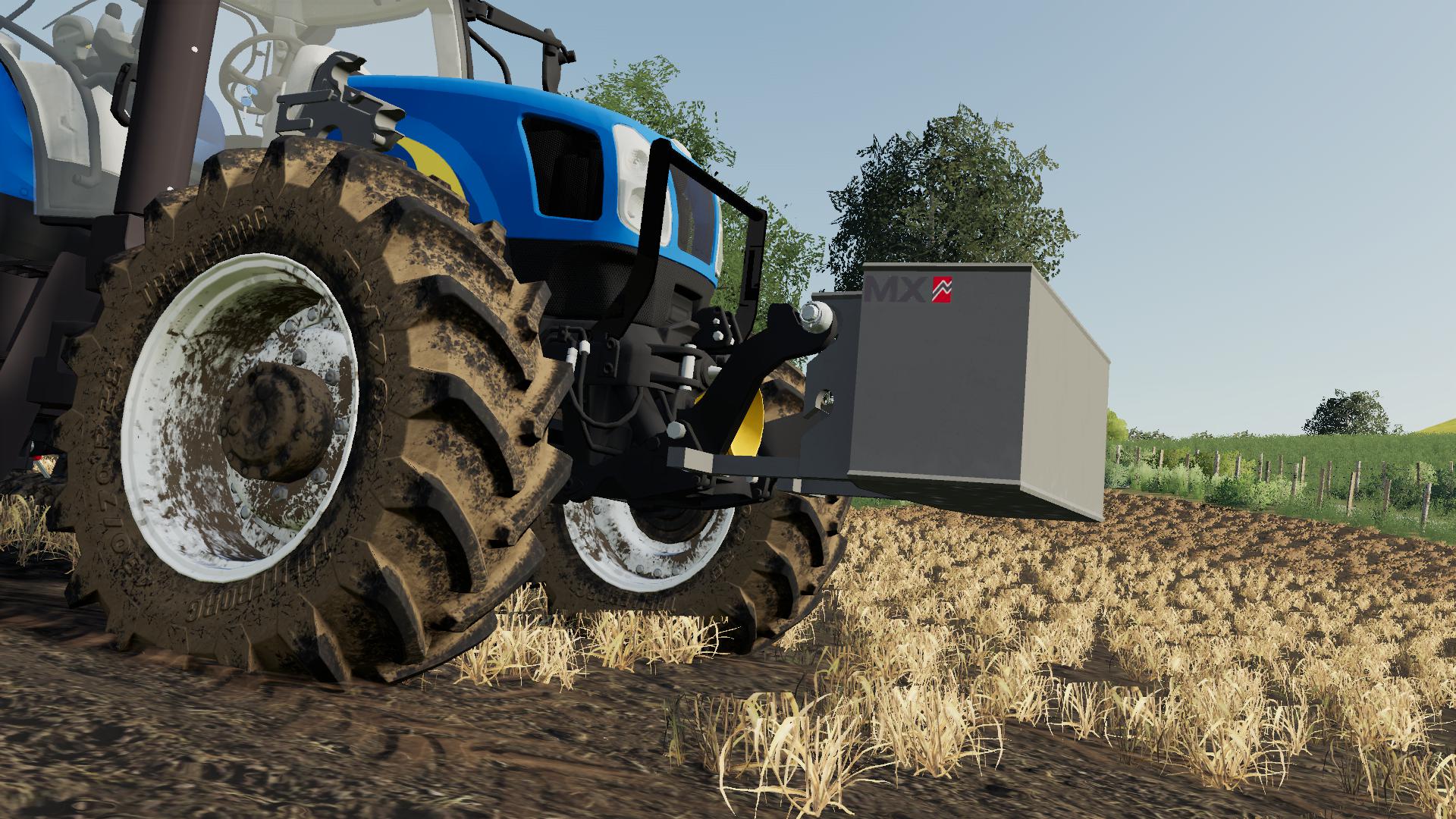FS19 - Masse MX Weight V1.0