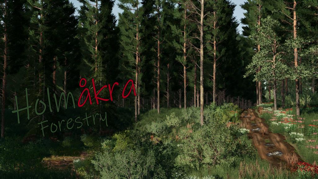 FS19 - Holmakra Map V1.0